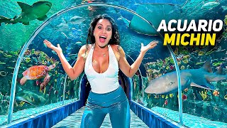 ACUARIO MICHIN el más nuevo de Ciudad de Mexico 🇲🇽@abailarconmaga