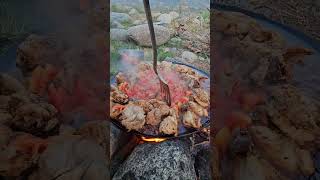 Dove Hunting🕊and  cooking  outside #music #viral #nature #dovehunt #youtubeshort#nature #viralvideo