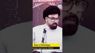 Short Clip Maulana Gulrez Mahdi | Ghar me Baap Ka Mijaaz Kaisa Hona chahiey King Abbas