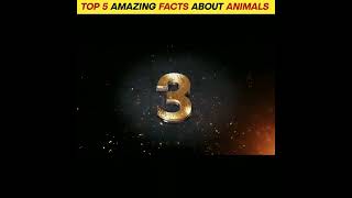 ये है दुनिया का सबसे मजेदार फैक्ट्स #youtubeshort #factsshort #facts #short #viralshorts #shorts