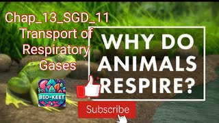 Chp_13_Sgd_11| Respiratory gases| Transport of O2 & CO2 | Factors effecting | Mechanisms