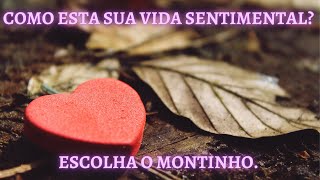 COMO ESTA SUA VIDA SENTIMENTAL? ESCOLHA O MONTINHO.