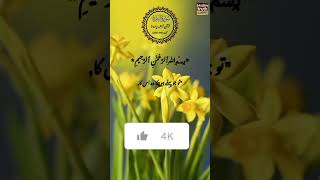 Tarjuma Quran#motivation#muslimtruth#shortvideo#messageoftruth #allahloves#muslimman#youtubeshorts