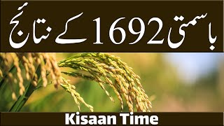 PB-1692 Rice Results Basmati Pusa 1692 Cultivation of 1692 PB in Pakistan Kisaan Time Kisan Time