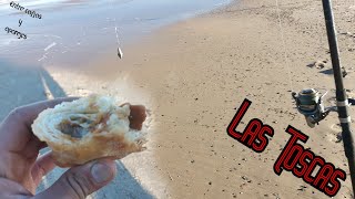 Pesca, mates y pastelitos de dulce de leche🎣/Las Toscas,Canelones,Uruguay 🇺🇾/Entre cañas y aparejos