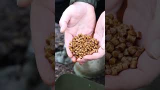 🥶 CREATE INTENSE FEEDING COMPETITION – EVEN IN THE COLD! DNA BAITS | CARP FISHING LIQUID