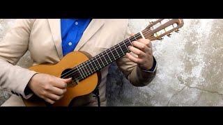 TELEMANN - Vivace TWV 40:22 / Carlos Roldan (soprano guitar)