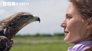 How Colours Tell the Story of Earth | Colour The Spectrum Of Science | BBC Science