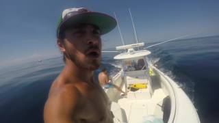 South Carolina OFFSHORE MAHI FISHING & SPEARFISHING