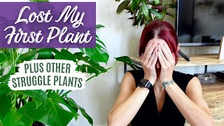 I Lost My First Houseplants | Plus Other Houseplants That Are Struggling | Houseplants Rehab