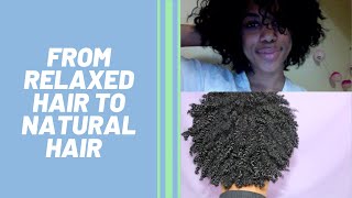 Natural Hair Journey (w/ pictures) | Transitioning While in College!