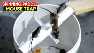 Bucket Mouse Trap | Spinning Paddle Rat Trap | Homemade mouse trap