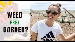 Using Weed Cloth In Your Garden? Watch This First!