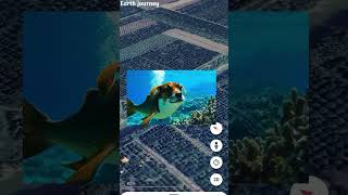 OMG dog 🐕 fish 🐠 on Google maps 🌍 and google earth #shots #earth journey