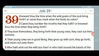 KJV-Daily Bible: p.m. Job 39:1-30