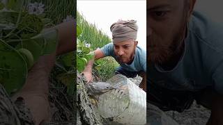 New Primitive Technology FISH TRAP with Fishing SR #short#fishing #amazingfisher #amazingfish #video