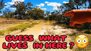 DEEP into the OUTBACK With My OFFSIDER ; CATCH CLEAN COOK !!!!!