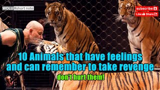 10 Animals that have feelings and can remember to take revenge, don't hurt them!