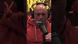 Bear Eats her own Cub | Joe Rogan #shorts