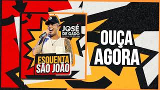 Esquenta São João - José De Gado O Vaqueiro Testado