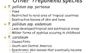 Part3 Spirochetes