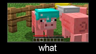 WAIT WHAT - Minecraft meme #15