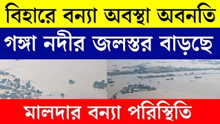 গঙ্গার জল বাড়ছে! বিহারে বন্যার প্রভাব মালদায় | Bihar Flood News | Manikchak, Farakka News