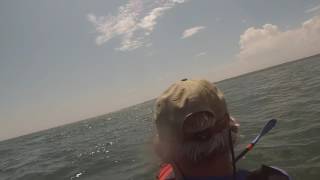 Kayaking Buzzards Bay Area