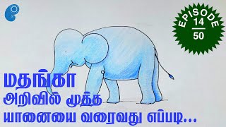 அழகான மாறுபட்ட யானைகளை வரைவது எப்படி? - மதங்கா