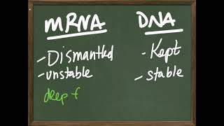 Protein Synthesis, mRNA, and the future of vaccine