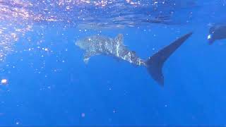 Exmouth and the Coral Coast of Western Australia