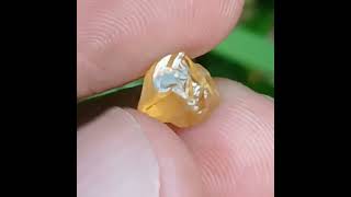 Geriuoues Sri Lankan Goldan Yellow Sapphire Loupe Clean Total Carter 30 Each Un Heated Size 5 Carter