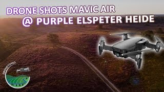 Drone shots of the Purple Heather at the 'Elspeter Heide' Holland