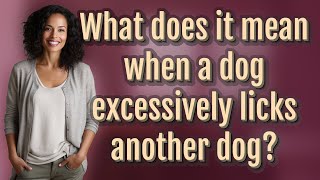 What does it mean when a dog excessively licks another dog?