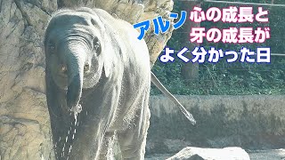 アルン心の成長と牙の成長がよく分かった日　2022年9月25日