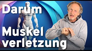 Muskelfaserriss oder Zerrung? Die 4 wirklichen Gründe! Gute Besserung 👋🏼🐝🍀