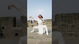 Tai chi Kungfu. Chinese kung fu, Shaolin Kungfu.Basic moves of Chen taijiquan. You can follow