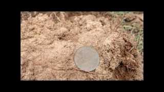 Metal Detecting in Queensland Australia