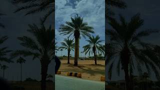 Beauty of Riyadh City #shortvideo #ksa #riyadh #riyadhcity #virulshorts #shorts #shortsviral #city