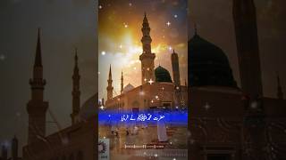 jis shakhs ne wazu karne se pahle pahla kalma padh liya please sabscraib my channel #trending #islam