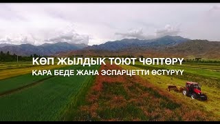 Кара беде жана эспарцетти өстүрүү