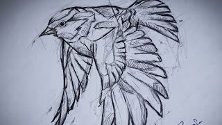 How to draw a bird / Bird simple drawing / Bird art And wish you all happy new year #lastvideoof2021