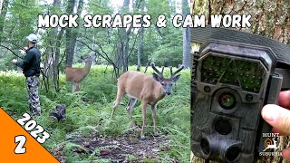 Mock Scrapes & Trail Camera Scouting | 2023 EP2