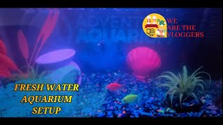 BEST FRESHWATER AQUARIUM SETUP - Under your budget