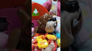 Don't steal mad dog soft chewy candy, he is upset. #shorts #asmr #best #trendy #grumpydog