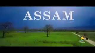 Assam Tourism - Assam Packages for International and Indian Tourist - Call /Whatsapp +919422421700