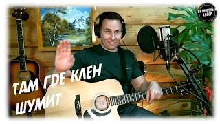 Кавер / Там где клен шумит / Синяя птица