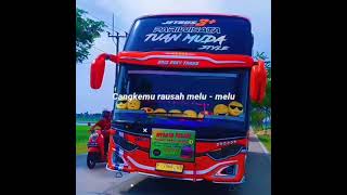 Story wa kata kata bus BRIS TRANS TUAN  MUDA ||Story'wa bus keren 30 detik||