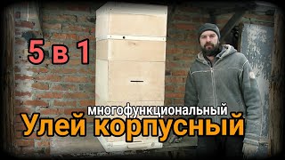 Улей корпусный  многофункциональный трансформер. Многоматочное содержание пчел. Вывод маток