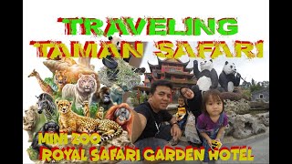 SENSASI NGINAP DI ROYAL SAFARI GARDEN ADA MINI ZOO NYA & TRAVELING TAMAN SAFARI #tamansafari #ancol